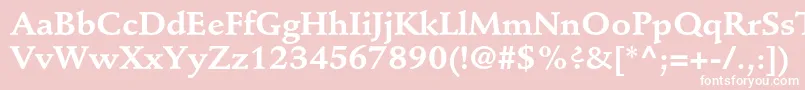 StempelschneidlerstdBold Font – White Fonts on Pink Background