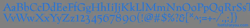 フォントPreissig – 灰色の背景に青い文字