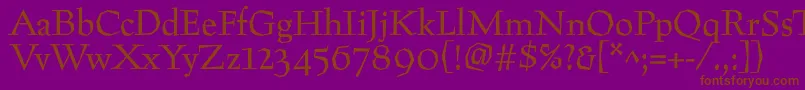 Preissig Font – Brown Fonts on Purple Background