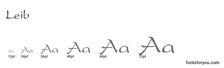 Размеры шрифта Leib