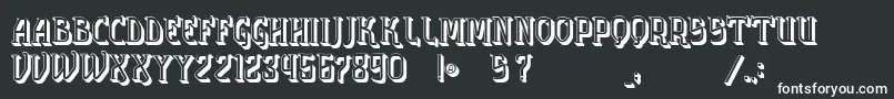 VtksSolution3D Font – White Fonts