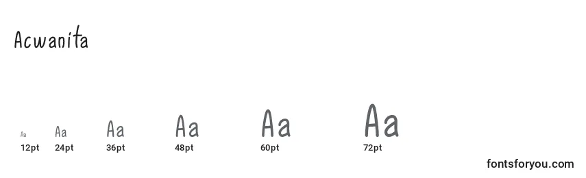 Acwanita Font Sizes