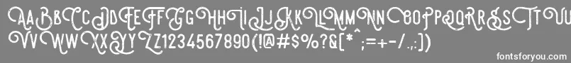 SteelworksVintageDemo Font – White Fonts on Gray Background