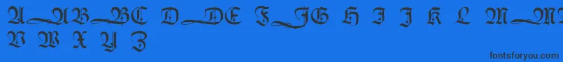 HumboldtfrakturInitialen Font – Black Fonts on Blue Background