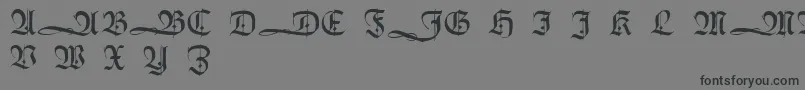 HumboldtfrakturInitialen-Schriftart – Schwarze Schriften auf grauem Hintergrund