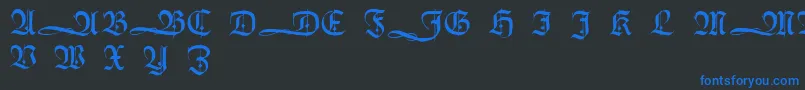 フォントHumboldtfrakturInitialen – 黒い背景に青い文字