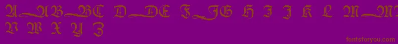 HumboldtfrakturInitialen Font – Brown Fonts on Purple Background