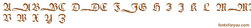 Шрифт HumboldtfrakturInitialen – коричневые шрифты на белом фоне