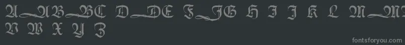 HumboldtfrakturInitialen Font – Gray Fonts on Black Background