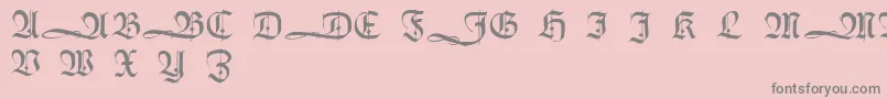HumboldtfrakturInitialen Font – Gray Fonts on Pink Background