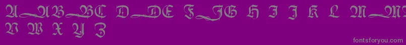 HumboldtfrakturInitialen Font – Gray Fonts on Purple Background