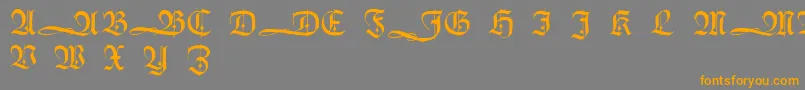 HumboldtfrakturInitialen Font – Orange Fonts on Gray Background