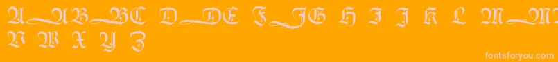 HumboldtfrakturInitialen-Schriftart – Rosa Schriften auf orangefarbenem Hintergrund