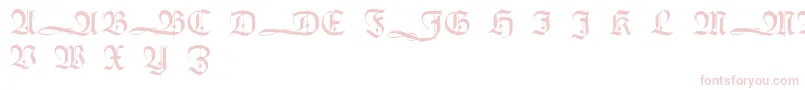 HumboldtfrakturInitialen Font – Pink Fonts