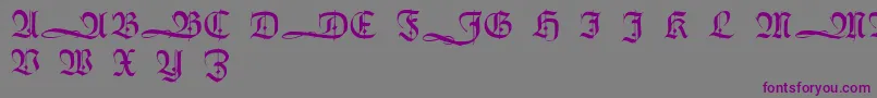 HumboldtfrakturInitialen-fontti – violetit fontit harmaalla taustalla