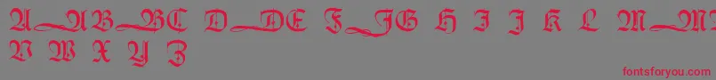 HumboldtfrakturInitialen Font – Red Fonts on Gray Background