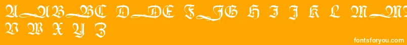 HumboldtfrakturInitialen Font – White Fonts on Orange Background