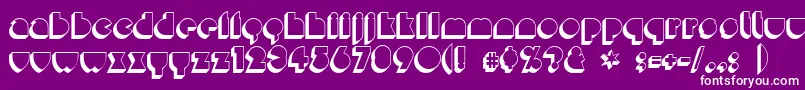 Misirlou ffy Font – White Fonts on Purple Background