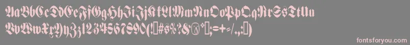 Popfraxfrankfurt-Schriftart – Rosa Schriften auf grauem Hintergrund