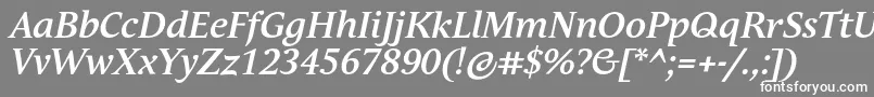 AndulkaBookProBoldItalic Font – White Fonts on Gray Background