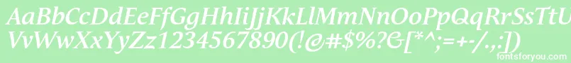 AndulkaBookProBoldItalic Font – White Fonts on Green Background