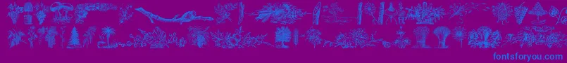VegetableBreatheFree-Schriftart – Blaue Schriften auf violettem Hintergrund
