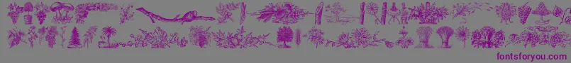 VegetableBreatheFree Font – Purple Fonts on Gray Background