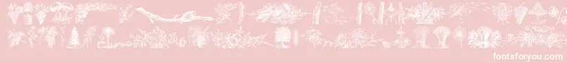 VegetableBreatheFree-fontti – valkoiset fontit vaaleanpunaisella taustalla
