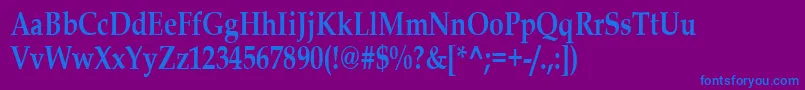 BookAntiquaBold80n Font – Blue Fonts on Purple Background