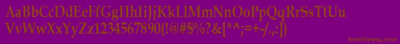 BookAntiquaBold80n Font – Brown Fonts on Purple Background