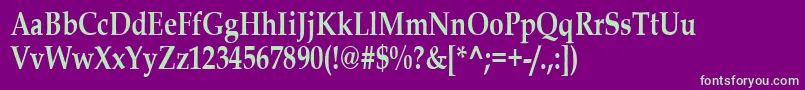BookAntiquaBold80n Font – Green Fonts on Purple Background