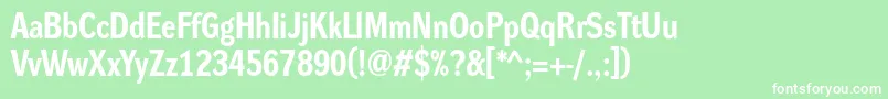 DynagroteskrmBold Font – White Fonts on Green Background