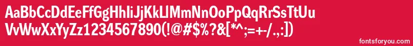 DynagroteskrmBold Font – White Fonts on Red Background