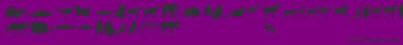 AnimalsRegular Font – Black Fonts on Purple Background