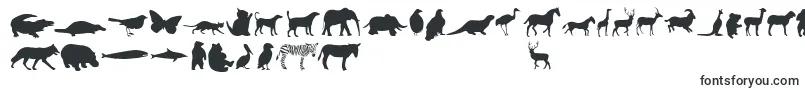AnimalsRegular Font – Fonts for Adobe Illustrator