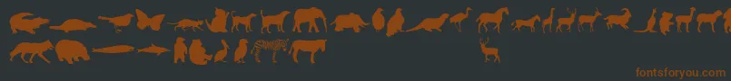 Шрифт AnimalsRegular – коричневые шрифты на чёрном фоне