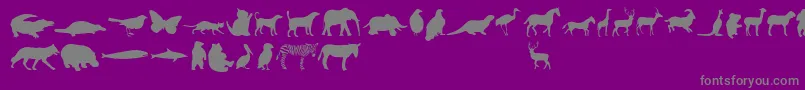 AnimalsRegular Font – Gray Fonts on Purple Background