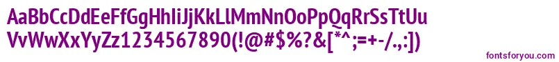 Ptn77fW Font – Purple Fonts
