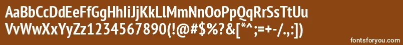 Ptn77fW Font – White Fonts on Brown Background