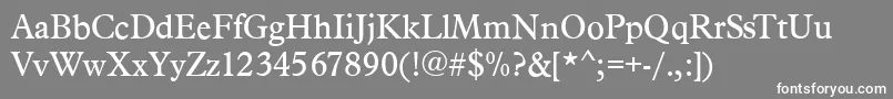 PlacidRegular Font – White Fonts on Gray Background
