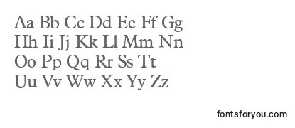 PlacidRegular Font