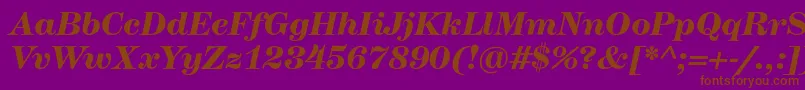 HerculesmediumBolditalic-fontti – ruskeat fontit violetilla taustalla