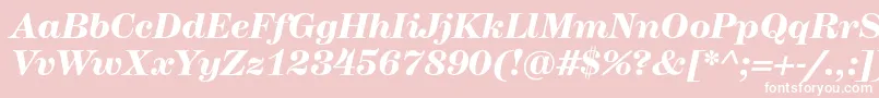 HerculesmediumBolditalic Font – White Fonts on Pink Background
