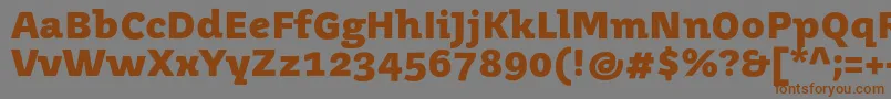 Шрифт JuvenismediumBold – коричневые шрифты на сером фоне