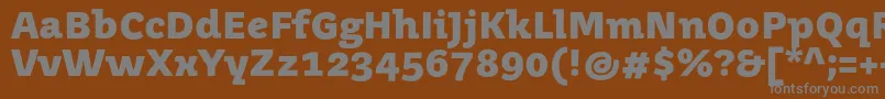 Шрифт JuvenismediumBold – серые шрифты на коричневом фоне