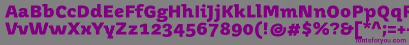 JuvenismediumBold Font – Purple Fonts on Gray Background