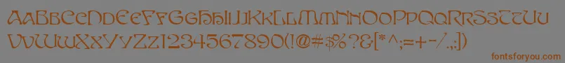 フォントSanasoftEdithDay.Kz – 茶色の文字が灰色の背景にあります。