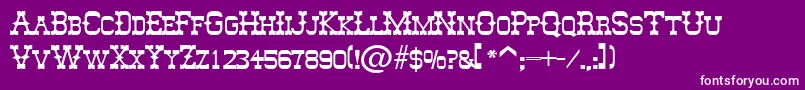 MesquitoSfBold Font – White Fonts on Purple Background