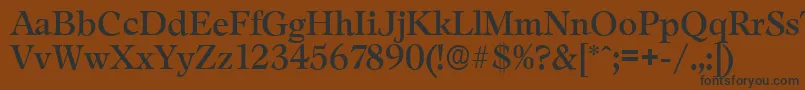 LeamingtonserialRegular Font – Black Fonts on Brown Background