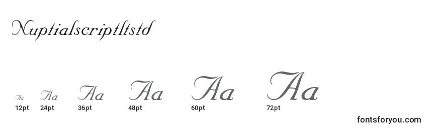 Nuptialscriptltstd Font Sizes